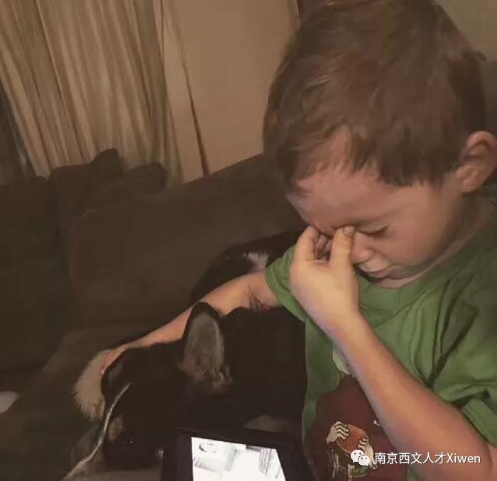 微信圖片_20191204151255.jpg
